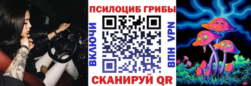 KRAKEN как зайти  Тверь  Галлюциногенные грибы Magic Shrooms 